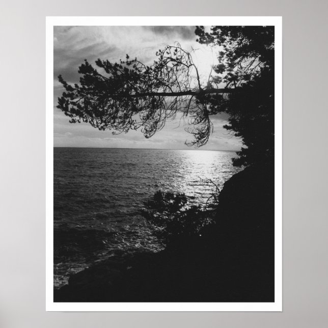 Ocean View Poster (Front)