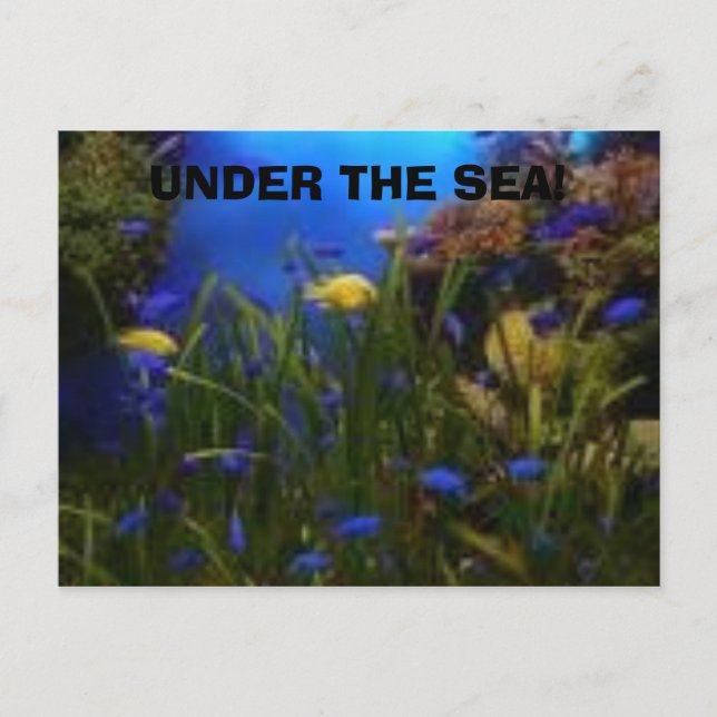 ocean view, UNDER THE SEA! Postcard (Front)