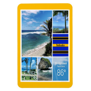 Ocean Views of Barbados Magnet