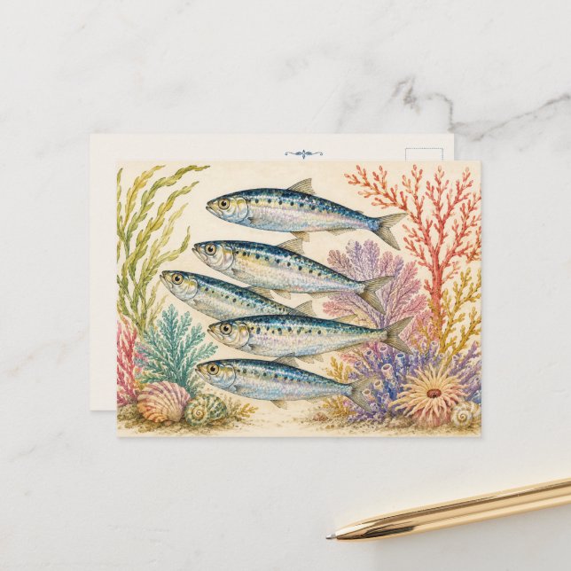 Ocean Watercolour Inspired Post Card - 5 Sardines (Front/Back In Situ)