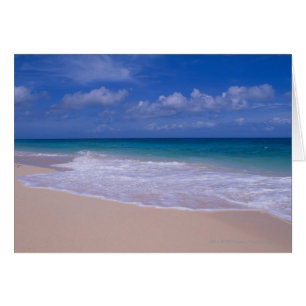 Ocean waves foaming onto sandy beach