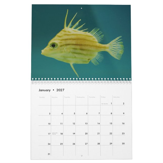 Ocean Wildlife Photography Calendar (Jan 2027)
