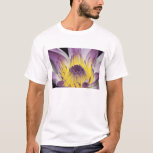 Oceania, Fiji, Purple Panama Pacifica Nymphea T-Shirt
