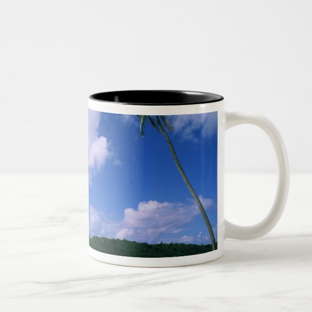 Oceania, French Polynesia, Tahiti. View of Two-Tone Coffee Mug (Right)