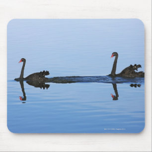 Oceania, New Zealand, South island, Hokitika - Mouse Mat