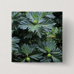 Oceania, South Pacific, French Polynesia, 15 Cm Square Badge