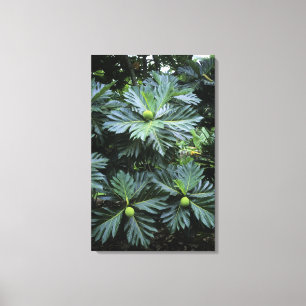 Oceania, South Pacific, French Polynesia, Canvas Print