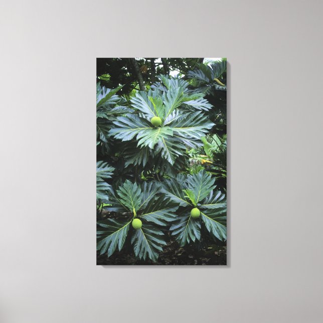 Oceania, South Pacific, French Polynesia, Canvas Print (Front)