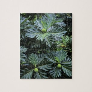 Oceania, South Pacific, French Polynesia, Jigsaw Puzzle