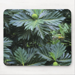 Oceania, South Pacific, French Polynesia, Mouse Mat