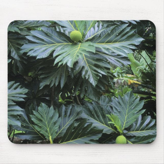 Oceania, South Pacific, French Polynesia, Mouse Mat (Front)