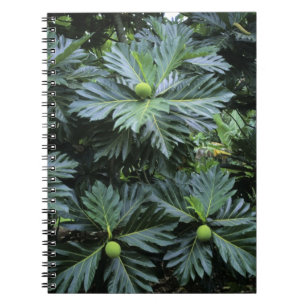 Oceania, South Pacific, French Polynesia, Notebook