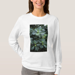 Oceania, South Pacific, French Polynesia, T-Shirt