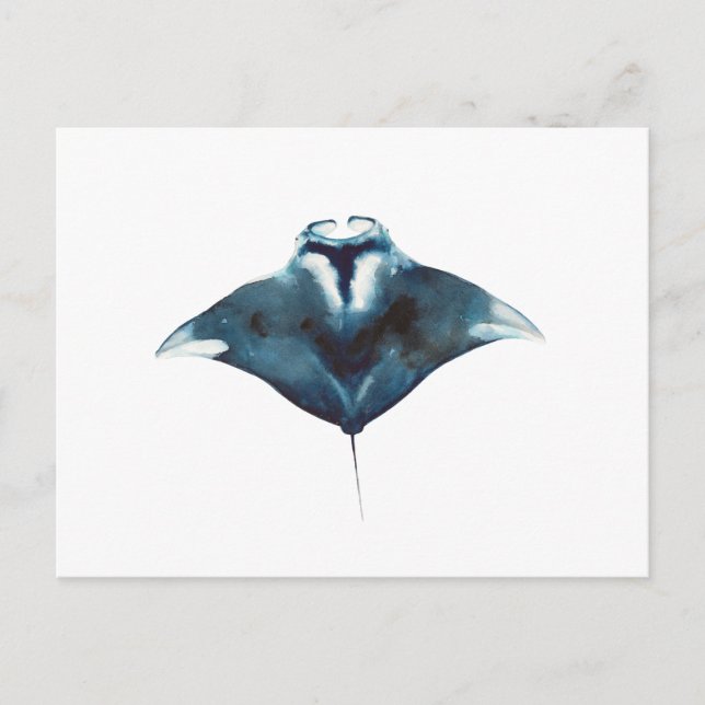 Oceanic Manta Ray Postcard (Front)