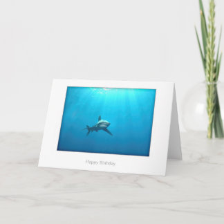 Oceanic Whitetip Shark Birthday Card