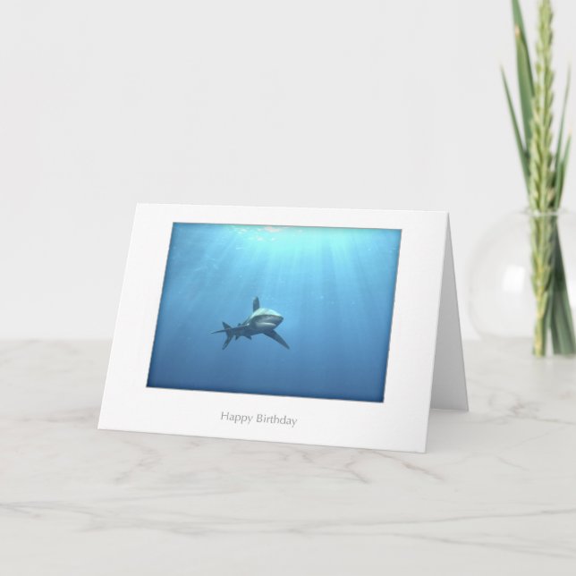 Oceanic Whitetip Shark Birthday Card (Front)
