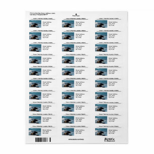 Oceano Beach California with Rocks Address Labels