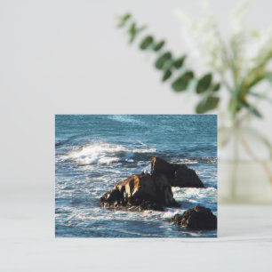 Oceano Beach with Rocks California Postcard