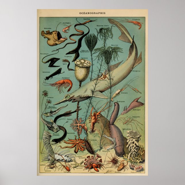 Oceanography Adolphe Millot Le Larousse Pour Tous Poster (Front)