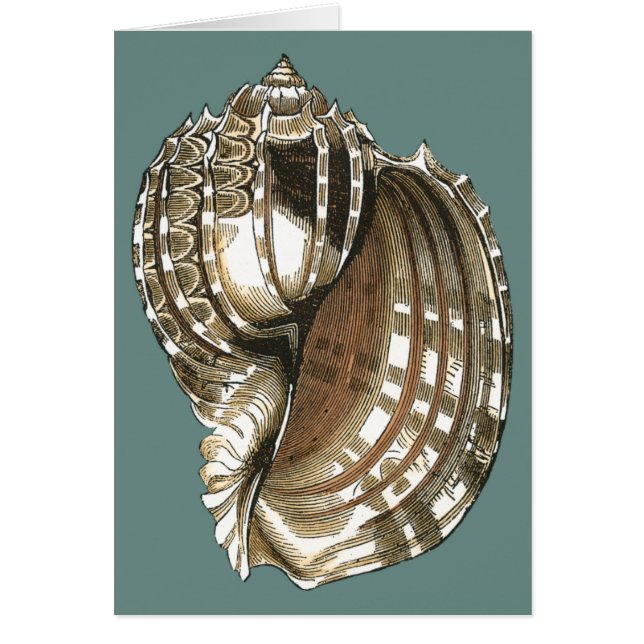 Ocean's Jewel (Front)