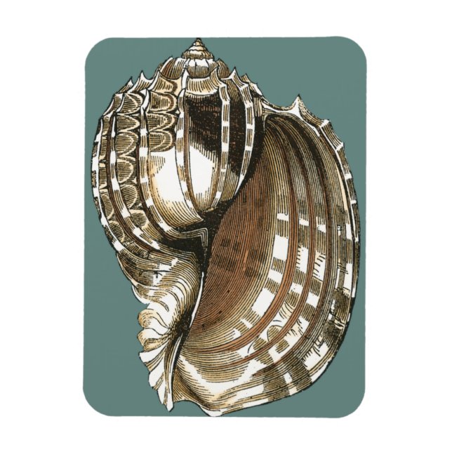 Ocean's Jewel Magnet (Vertical)