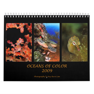 Oceans Of Colour Calendar