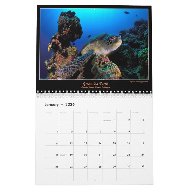 Oceans Of Colour Calendar (Jan 2026)