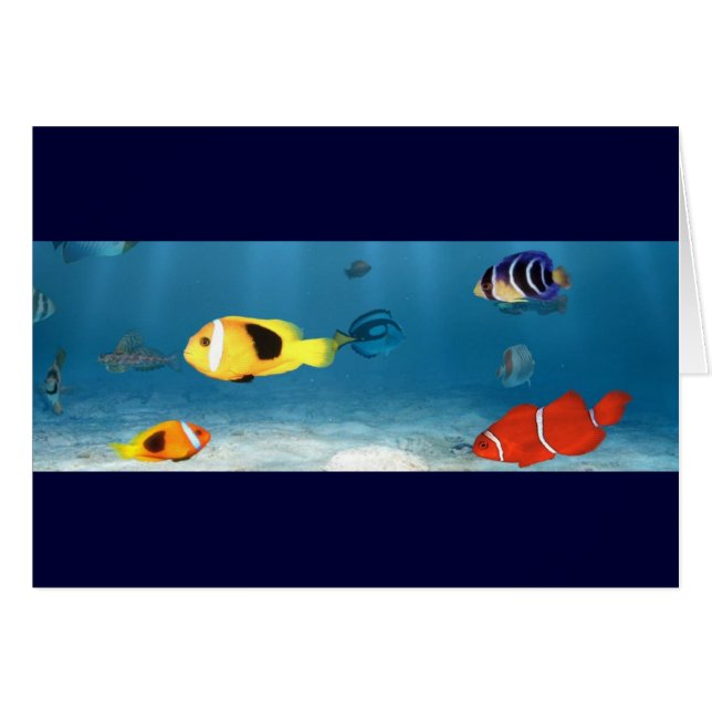 Oceans Of Fish (Front Horizontal)