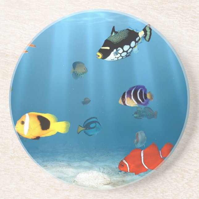 Oceans Of Fish Coaster (Front)