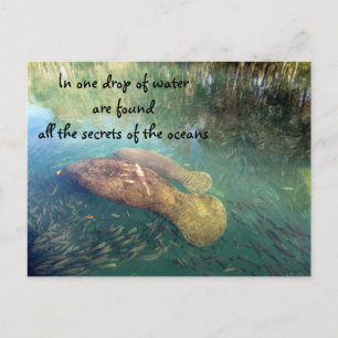 Ocean's Quote Postcard