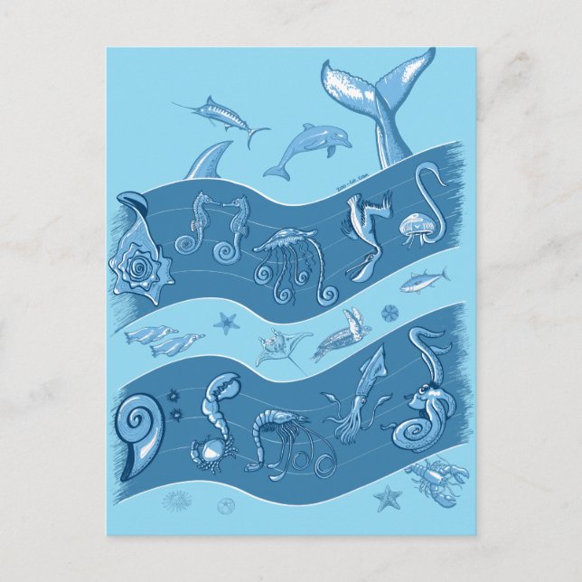 Ocean's Symphony Postcard (Front)