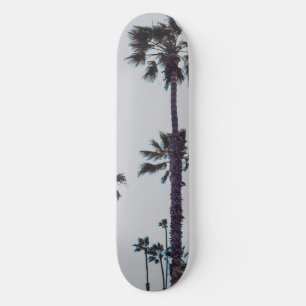 Oceanside Palm Trees Skateboard