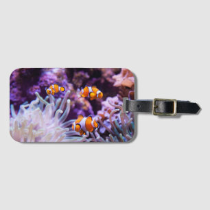 Ocellaris Clownfish Amphiprion Ocellaris Luggage Tag
