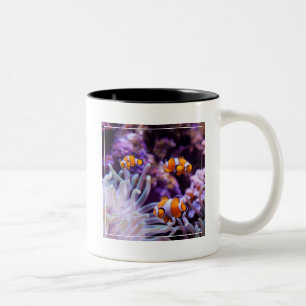 Ocellaris Clownfish   Amphiprion Ocellaris Two-Tone Coffee Mug