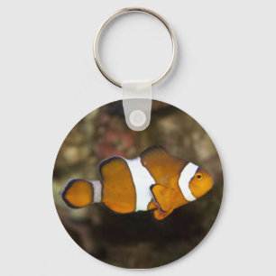 Ocellaris Clownfish Key Ring