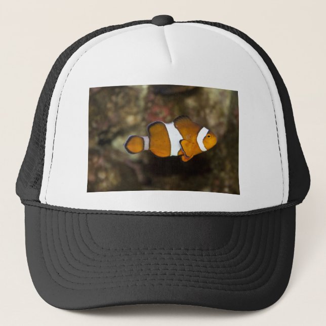 Ocellaris Clownfish Trucker Hat (Front)