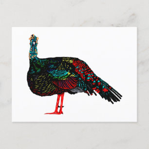 Ocellated Turkey Postcard