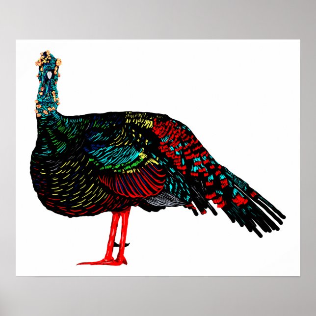 Ocellated Turkey Poster (Front)