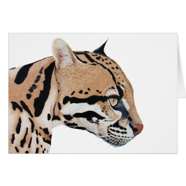 Ocelot (Front Horizontal)