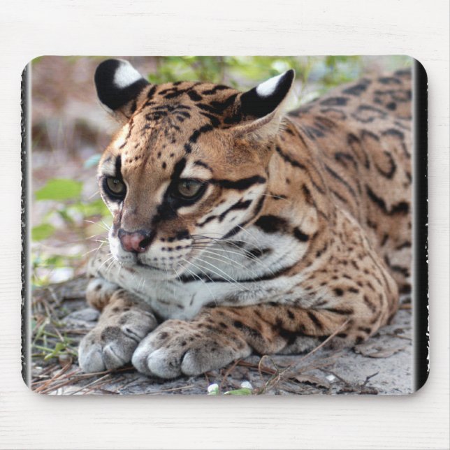 Ocelot 02 11x11 mouse mat (Front)