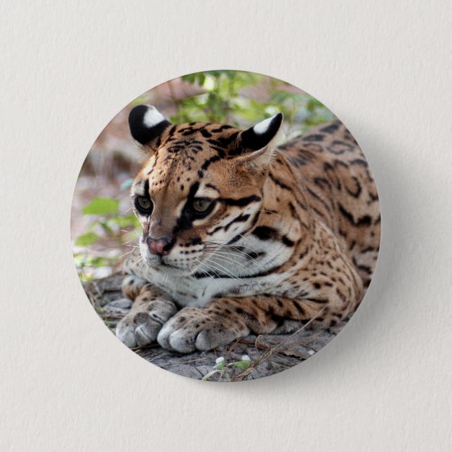 Ocelot 02 9x9 6 cm round badge (Front)