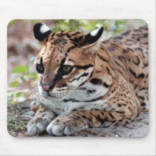 Ocelot 02 9x9 mouse mat