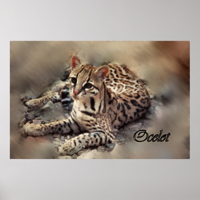 Ocelot art poster (Front)