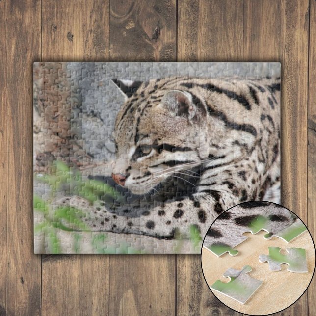 Ocelot Closeup Jigsaw Puzzle (Quacking Mallard Duck Jigsaw Puzzle)