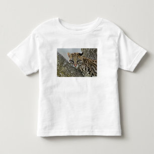 Ocelot, Felis pardalis, captive, female resting 2 Toddler T-Shirt