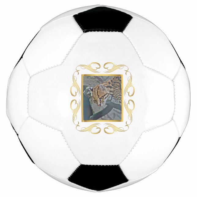 Ocelot Framed Football (Front)