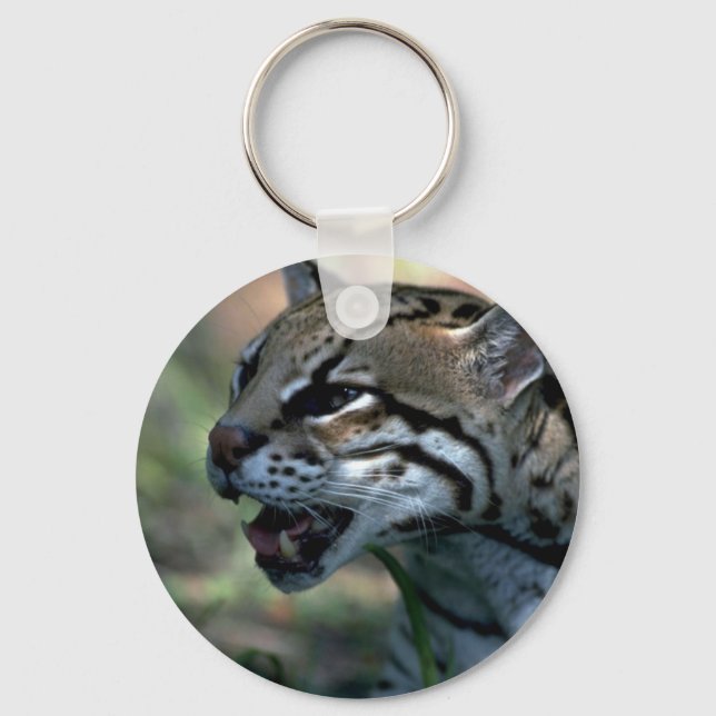 Ocelot head study key ring (Front)