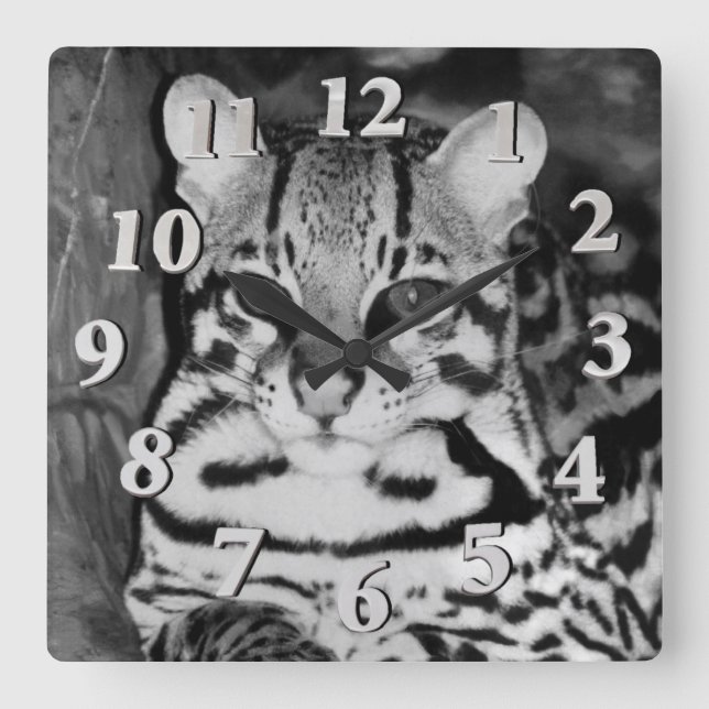 Ocelot in Repose Square Wall Clock (Front)