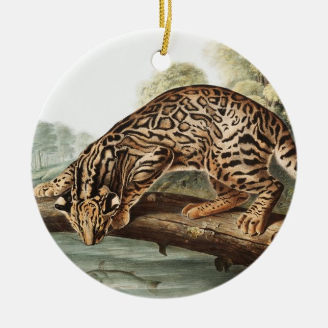 Ocelot, Leopard Cat (Felis pardalis) Illustration Ceramic Tree Decoration (Front)