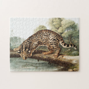 Ocelot, Leopard Cat (Felis pardalis) Illustration Jigsaw Puzzle